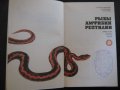 Книга "Рыбы амфибии рептилии - Т.Александровская" - 208 стр., снимка 2