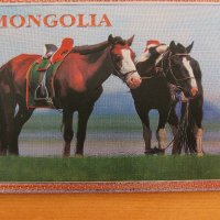  Голям автентичен магнит от Монголия-серия-1, снимка 1 - Други ценни предмети - 26058008