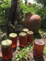Мед (домашен, натурален, многоцветен букет), снимка 5