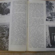 Книга "Африка и Америка - Мартин Франсоа Гловня" - 208 стр., снимка 4 - Специализирана литература - 11905134