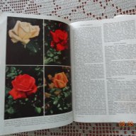 Голяма енциклопедия за растенията от А до Я, снимка 7 - Енциклопедии, справочници - 14108662