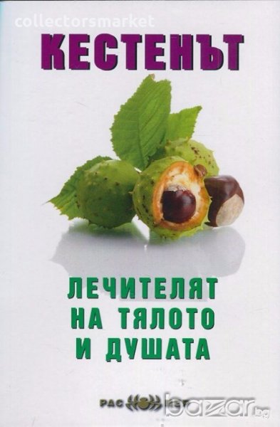 Кестенът - лечителят на тялото и душата, снимка 1