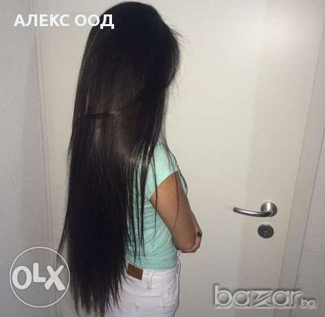 кестеняви 89