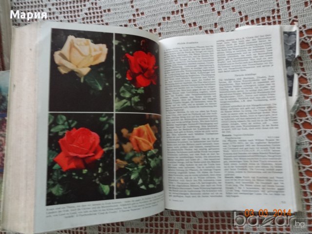 Голяма енциклопедия за растенията от А до Я, снимка 7 - Енциклопедии, справочници - 14108662