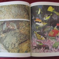 1983 год. Книга за животните и рибите Русия, снимка 11 - Други - 24608150