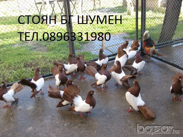 ПРОДАВАМ ОГЛЕДАЛНИ РОЛЕРИ, снимка 1