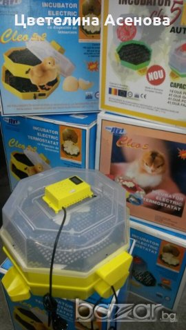Автоматични Румънски инкубатори , снимка 2 - За птици - 21428195