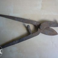 Старинни вет.медицински ножици за скопяване на животни, снимка 1 - Антикварни и старинни предмети - 11872098
