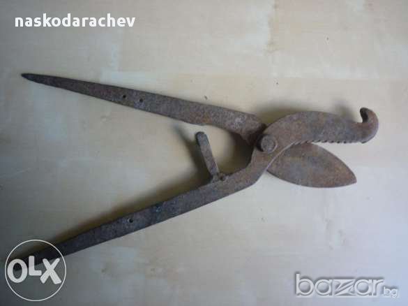 Старинни вет.медицински ножици за скопяване на животни, снимка 1