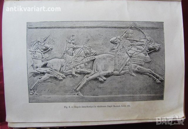 1915год. Книга за Историята и Породите Коне, снимка 3 - Други - 24984265