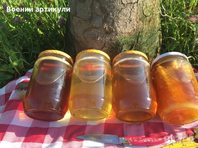 Родопски пчелен мед, снимка 12 - Пчелни продукти - 22675761