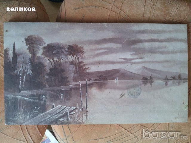 Залез масло върху платно 45х25см