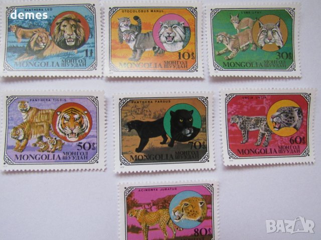 Дивите котки-сет от 7 марки, 1979, Монголия, снимка 2 - Филателия - 22374210