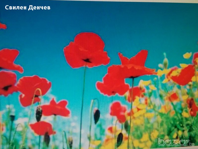 Швейцарски фототапети IDEAL DECOR 366/254, снимка 1