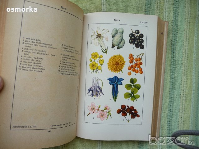 Немско-руски речник в картинки рядък Bild-Worterbuch, снимка 2 - Чуждоезиково обучение, речници - 18953921