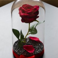 Вечна роза в голяма стъкленица - Стилен подарък за рожден ден на жена / Уникален подарък за юбилей, снимка 9 - Декорация за дома - 19454247