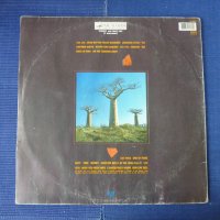 грамофонни плочи Pink Floyd, снимка 6 - Грамофонни плочи - 23415140