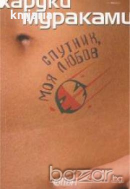 Спутник, моя любов , снимка 1