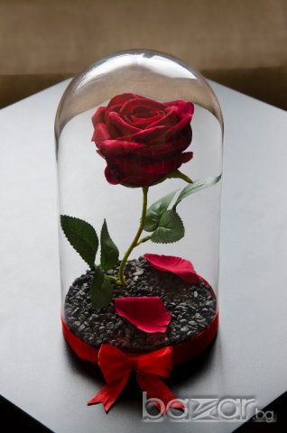 Вечна роза в голяма стъкленица - Уникален и стилен подарък, снимка 8