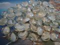 огромно разнообразие от стъклени перли, снимка 10