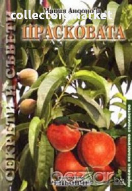 Прасковата, снимка 1