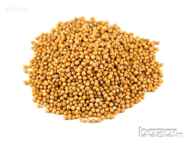 TopMustard Seeds Yellow / Топ Оп Жълто Синапено Семе 100гр, снимка 2 - Домашни продукти - 17013722