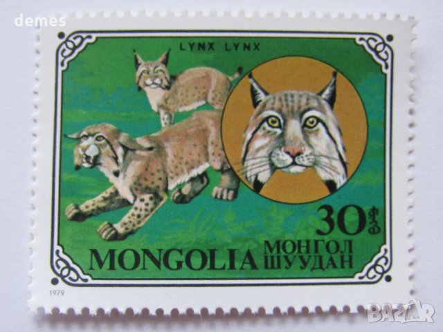 Дивите котки-сет от 7 марки, 1979, Монголия, снимка 5 - Филателия - 22374210