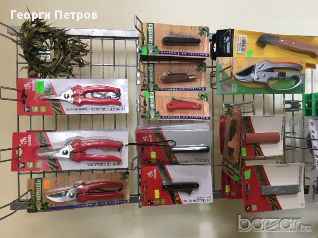 Ножица за бране на грозде Ausonia, снимка 2 - Градински цветя и растения - 15537040
