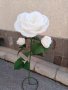 Гигантски рози от хартия, снимка 7