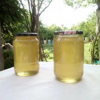 Български пчелен мед Акация 2018; Акациев мед