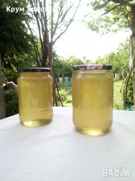Български пчелен мед Акация 2022; Акациев мед, снимка 1