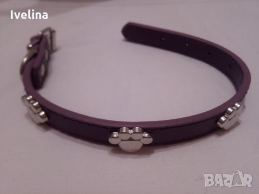 Нашийник за куче/коте, снимка 8 - За кучета - 22867940