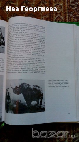 В мрака на далечни епохи - Братислав Талев, снимка 4 - Художествена литература - 17076795