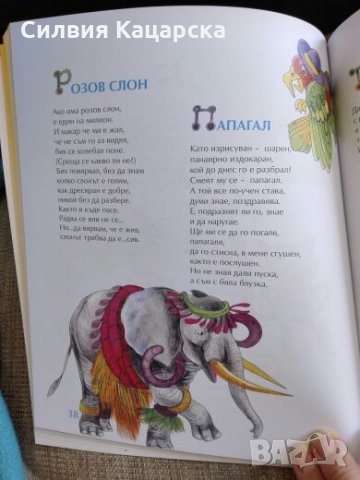 Брани недобрани, снимка 4 - Детски книжки - 24394001