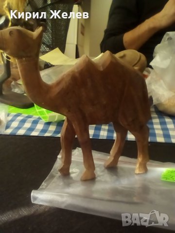 Камила дърво-3498