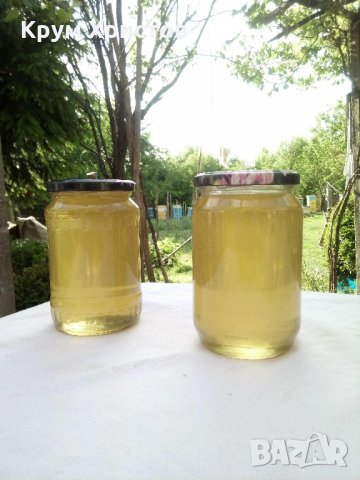 Български пчелен мед Акация 2022; Акациев мед, снимка 1 - Пчелни продукти - 21866590