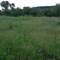 Купувам Земеделска Земя в Цяла България