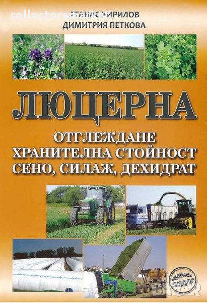 Люцерна, снимка 1