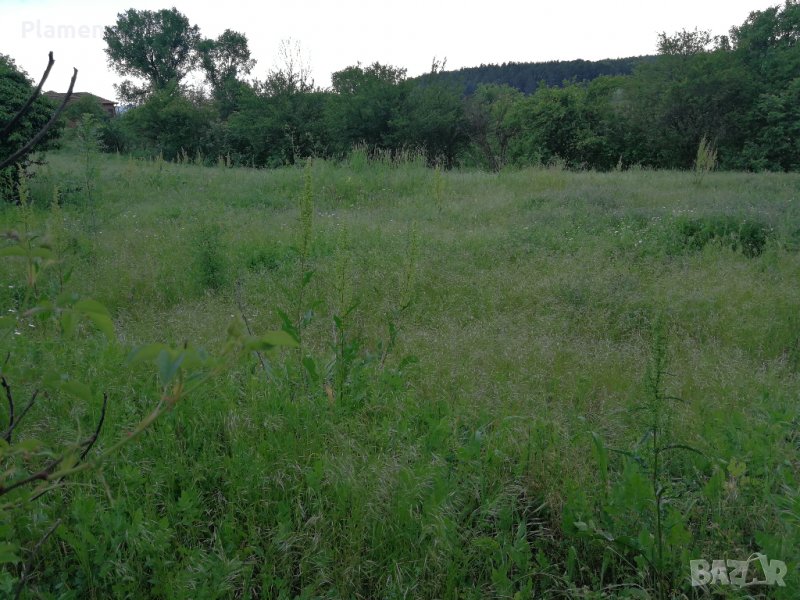 Купувам Земеделска Земя в Цяла България, снимка 1