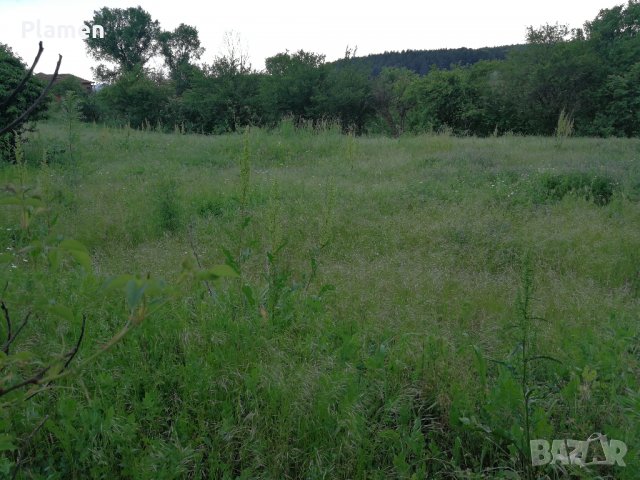 Купувам Земеделска Земя в Цяла България, снимка 1 - Земеделска земя - 22358223