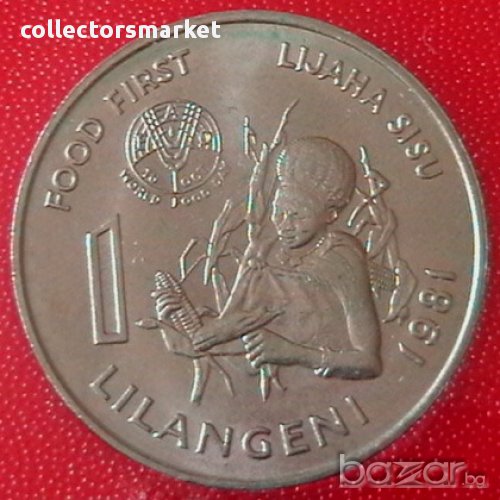 1 лилангени 1981 FAO, Свазиленд, снимка 1