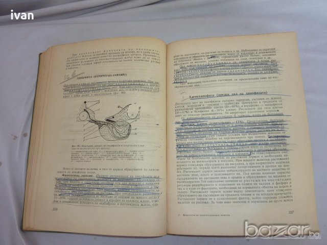  Физиология на селскостопанските животни, снимка 4 - Специализирана литература - 19377023
