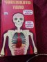 Човешкото тяло, снимка 1 - Енциклопедии, справочници - 24936424