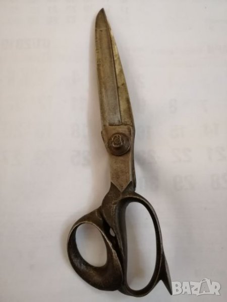 Стара ножица Solingen. , снимка 1
