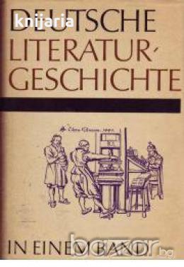 Deutsche Literaturgeschichte in einem Band 