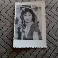 Стара снимка,картичка Джина Лолобриджида, снимка 1 - Антикварни и старинни предмети - 25791258