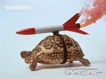 есета, курсови работи