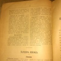 СЕМЕЙНО ОГНИЩЕ-списание от 1909 и 1910 година , снимка 8 - Списания и комикси - 21045281