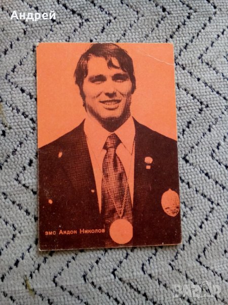 Календарче ЗМС Андон Николов 1973, снимка 1