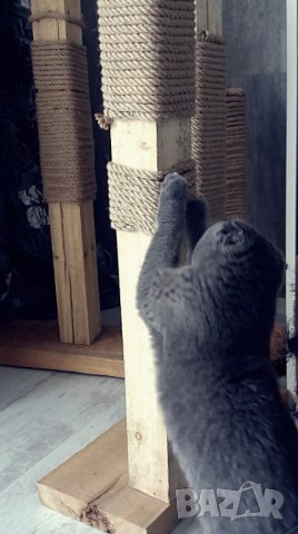 Масивна драскалка за котки, снимка 7 - За котки - 26112192